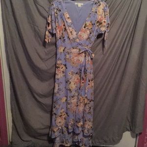 Francesca’s Blue Floral Dress
